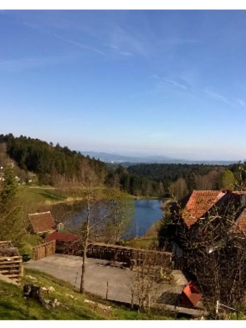 شقة Schlesierhaus Dachsberg im Schwarzwald المظهر الخارجي الصورة