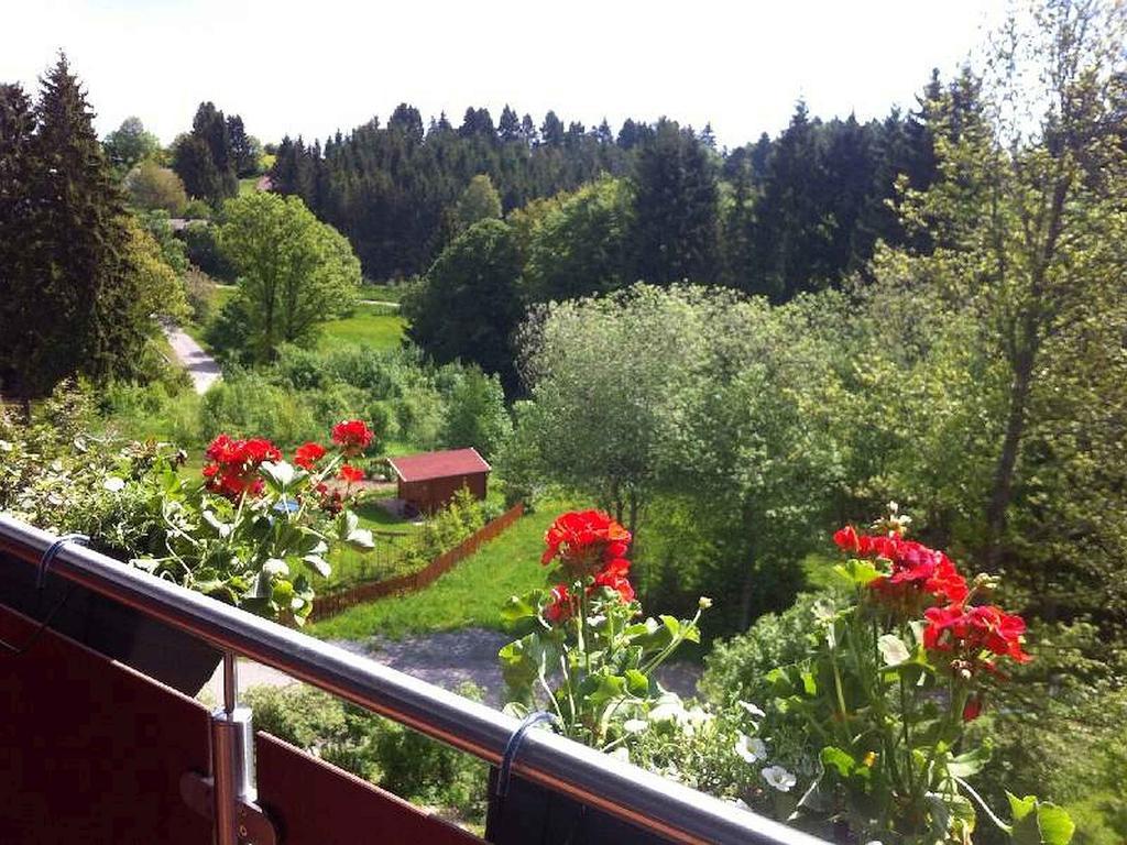 شقة Schlesierhaus Dachsberg im Schwarzwald المظهر الخارجي الصورة